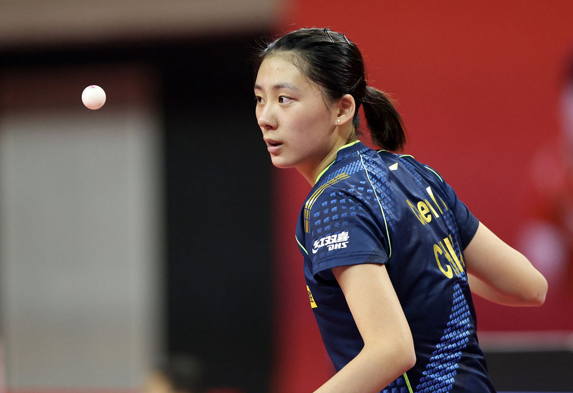 魅力和广泛 魅力和广泛