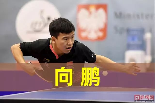 他的身高和 他的身高和